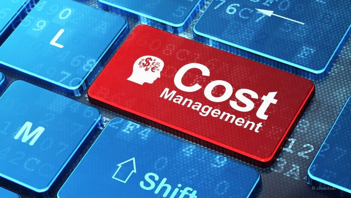 Maximizing Your Business’ Profitability with Cost Efficiency Strategies